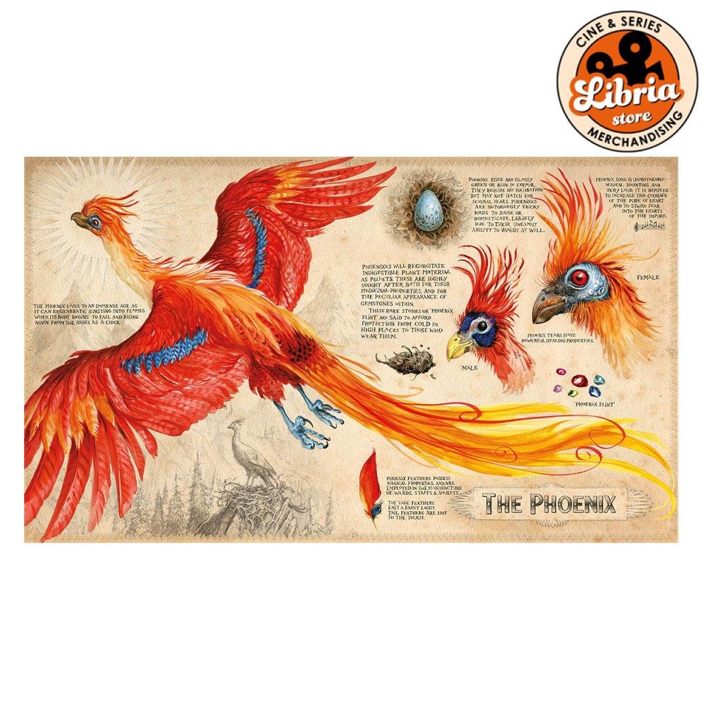 Harry Potter and the Chamber of Secrets illustrated edition - Imagen 5