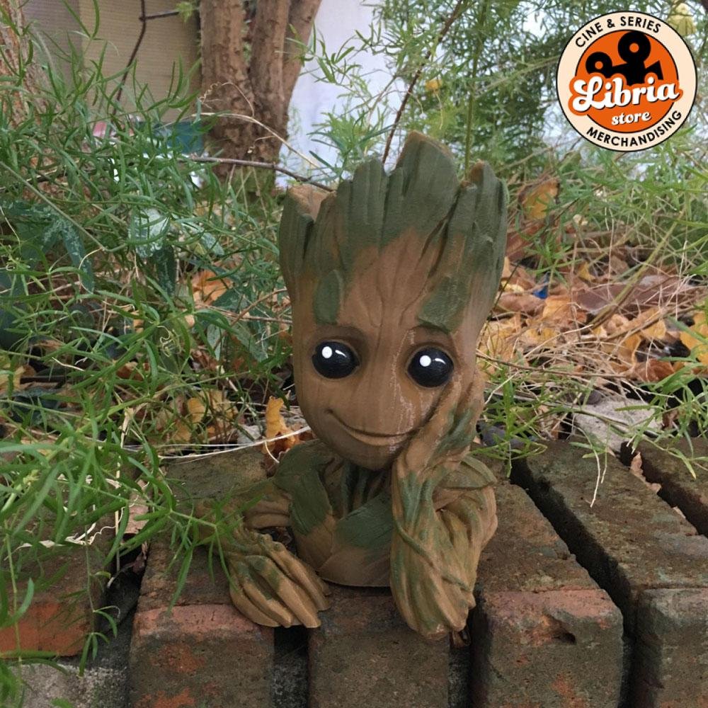 Maceta Groot
