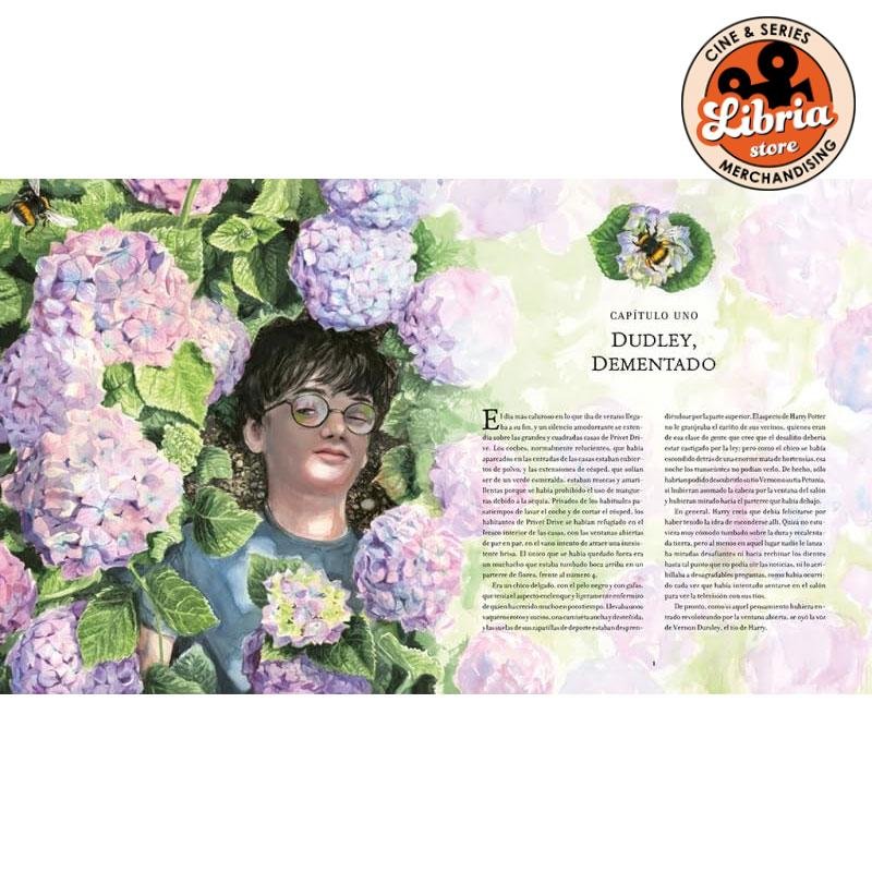 Harry Potter y la Orden del Fénix (ilustrado) - Imagen 2